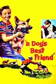 A Dog's Best Friend