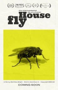 The Unencumbered Life of a French House Fly