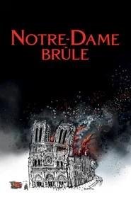 Notre-Dame br&ucirc;le