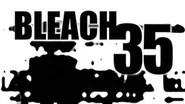Bleach Saison 1 Épisode 35