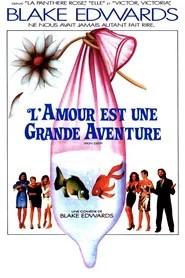 L'amour est une grande aventure