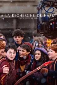 &Agrave; la recherche de Harry : L'art derri&egrave;re la magie