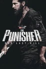 The Punisher : One Last Kill
