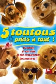 5 toutous pr&ecirc;ts &agrave; tout