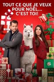 Tout ce que je veux pour No&euml;l&hellip; c'est toi !