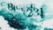Bleach Saison 1 Épisode 231