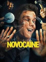 Novoca&iuml;ne