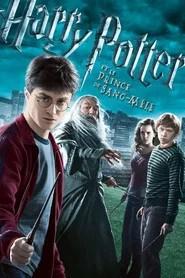 Harry Potter et le Prince de sang-m&ecirc;l&eacute;