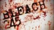 Bleach Saison 1 Épisode 245