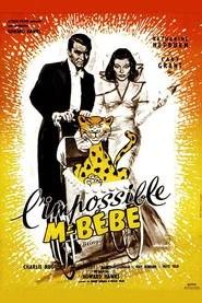 L'Impossible monsieur B&eacute;b&eacute;