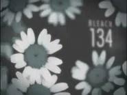 Bleach Saison 1 Épisode 134