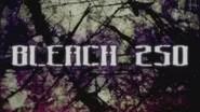 Bleach Saison 1 Épisode 250