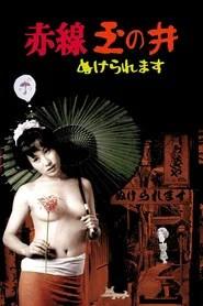 赤線玉の井 ぬけられます