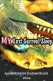 My Last Surreal Sleep
