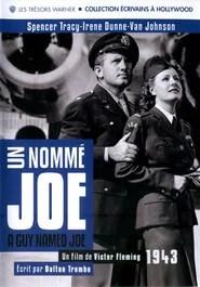 Un nomm&eacute; Joe