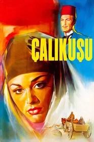 &Ccedil;alıkuşu