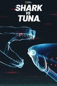 Requins contre Thons