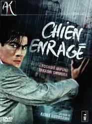 Chien enrag&eacute;