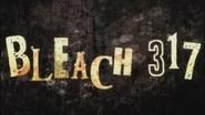 Bleach Saison 1 Épisode 317