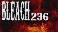 Bleach Saison 1 Épisode 236