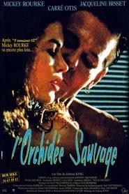 L'Orchid&eacute;e sauvage