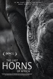 Les derniers rhinocéros d’Afrique