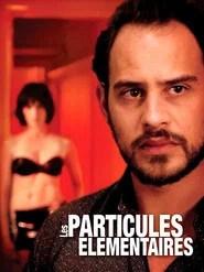 Les Particules &eacute;l&eacute;mentaires