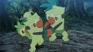 Pok&eacute;mon Saison 25 Épisode 11