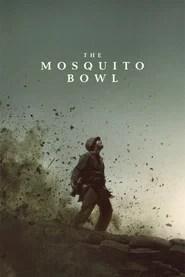 The Mosquito Bowl
