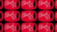 Bleach Saison 1 Épisode 65