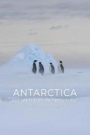 Antarctica, sur les traces de l'empereur