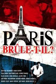 Paris br&ucirc;le-t-il ?