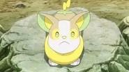 Pok&eacute;mon Saison 25 Épisode 17