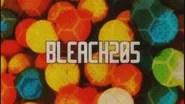Bleach Saison 1 Épisode 205