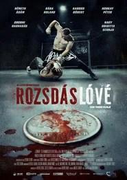 Rozsd&aacute;s L&oacute;v&eacute;