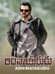 అధినాయకుడు