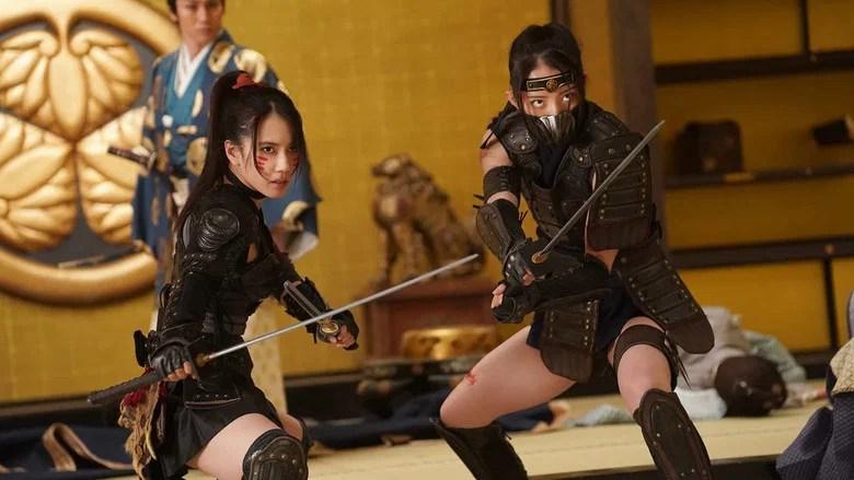 Ninja Wars - Black Fox vs Shogun's Ninja (2026)