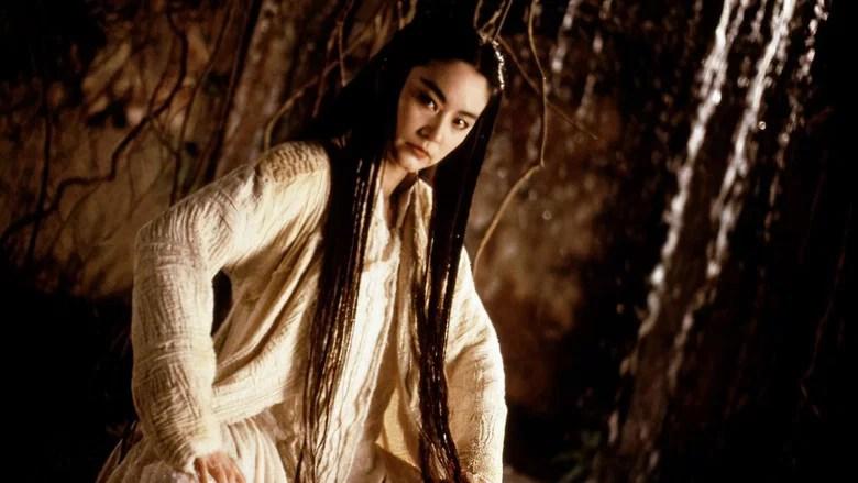 La Mari&eacute;e aux cheveux blancs (1993)