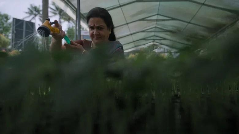 ആശ (2026)